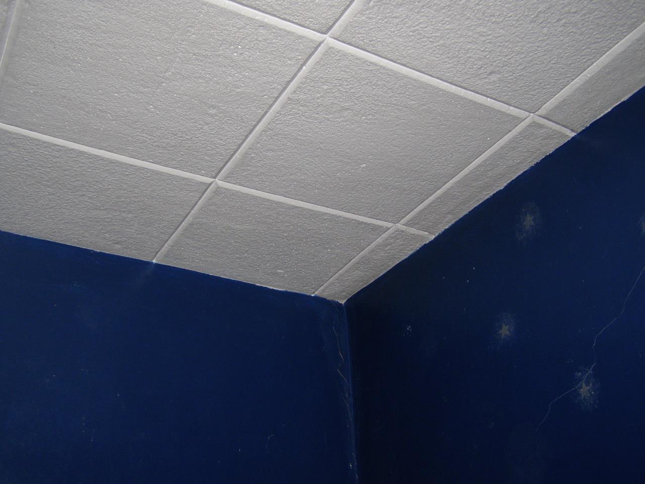 100 Celotex Ceiling Tile Basement Ceiling Tiles