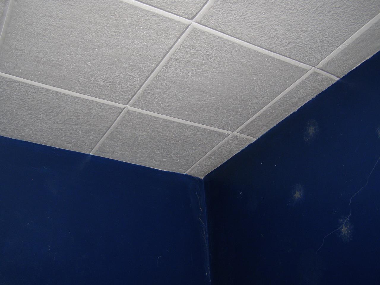 100 Celotex Ceiling Tile Basement Ceiling Tiles Asbestos